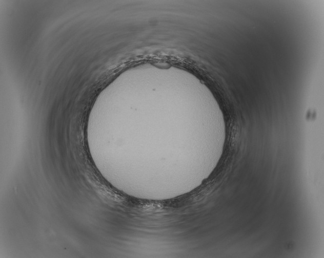 X0000114731489200911121743