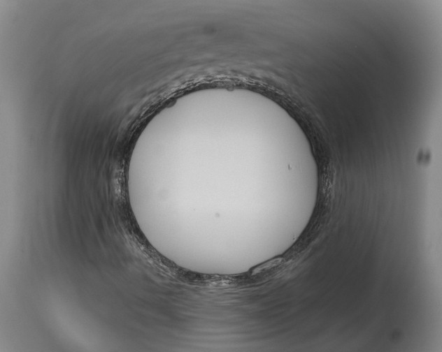 X0000114731490200911121743