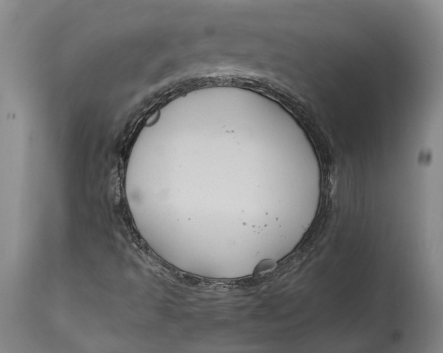 X0000114731493200911121743