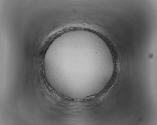 X0000114731494200911121743