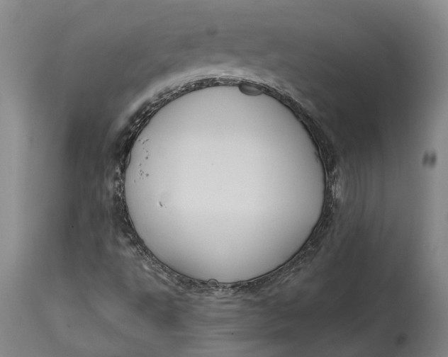 X0000114731495200911121743