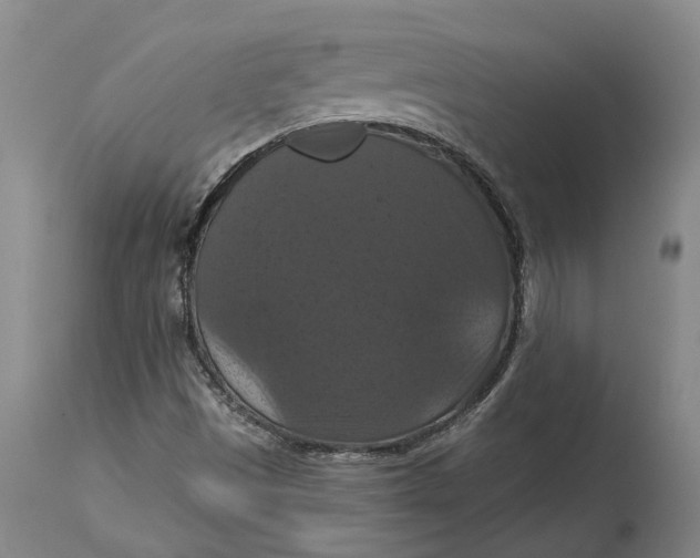 X0000114731497200911121743
