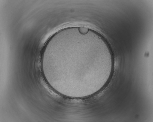 X0000114731498200911121743