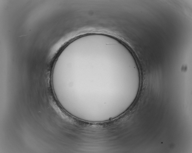 X0000114731503200911121743
