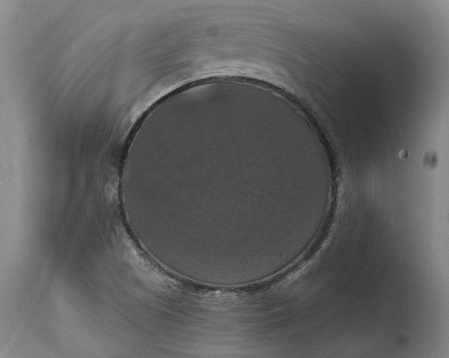 X0000114731505200911121743