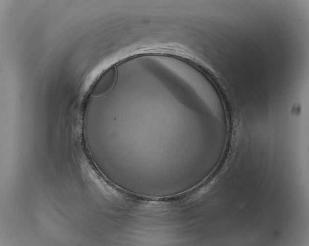 X0000114731506200911121743