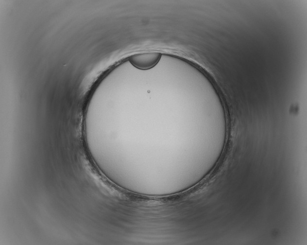 X0000114731507200911121743