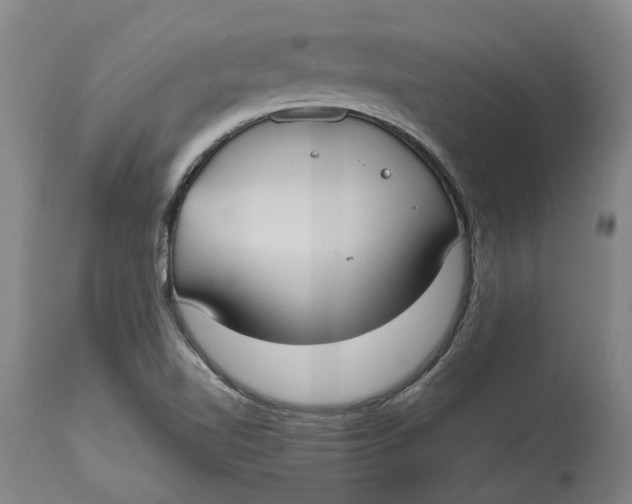 X0000114731510200911121743