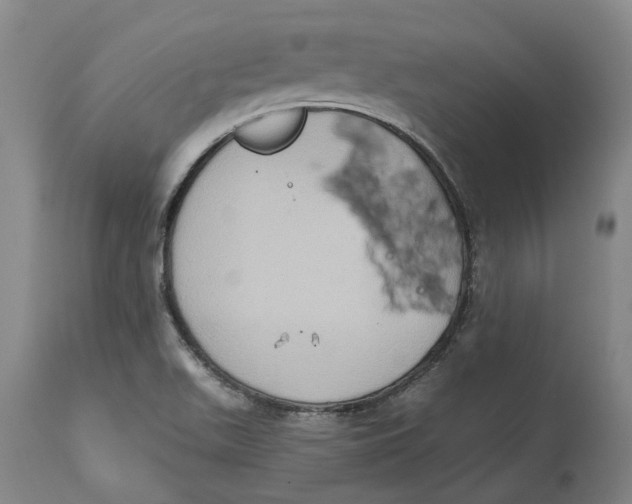 X0000114731511200911121743