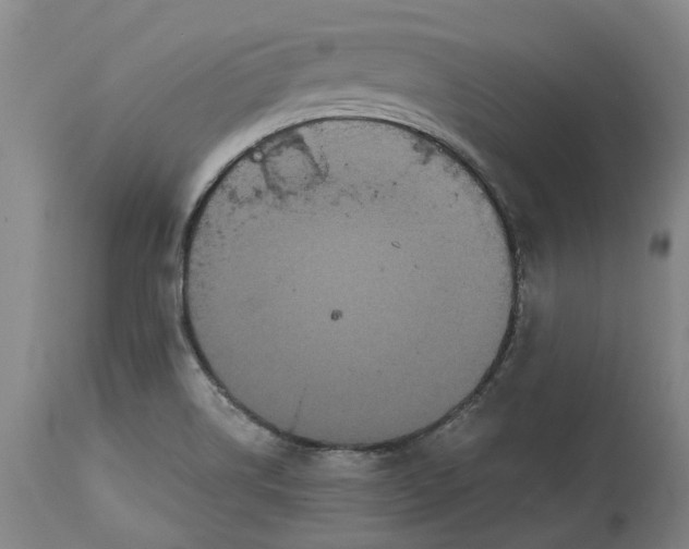 X0000114731514200911121743