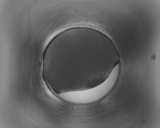 X0000114731515200911121743