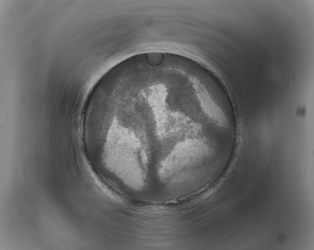 X0000114731517200911121743