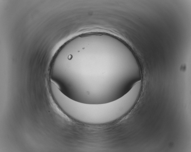 X0000114731518200911121743