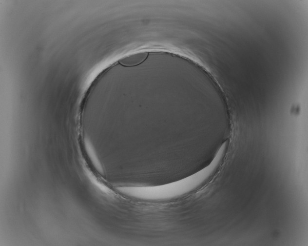 X0000114731519200911121743