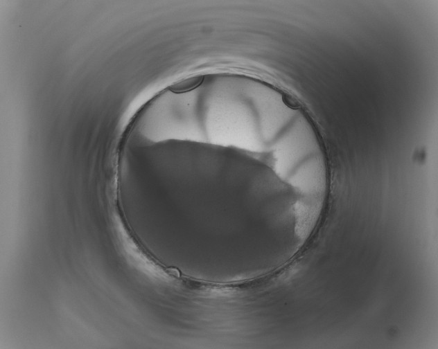 X0000114731522200911121743