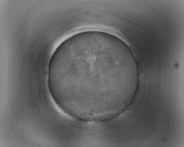 X0000114731523200911121743
