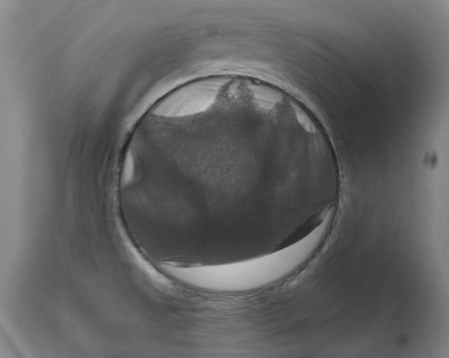 X0000114731525200911121743