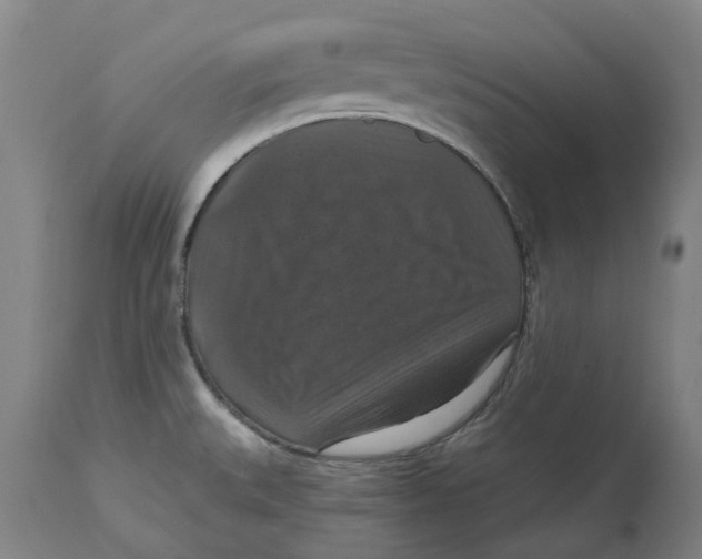 X0000114731527200911121743