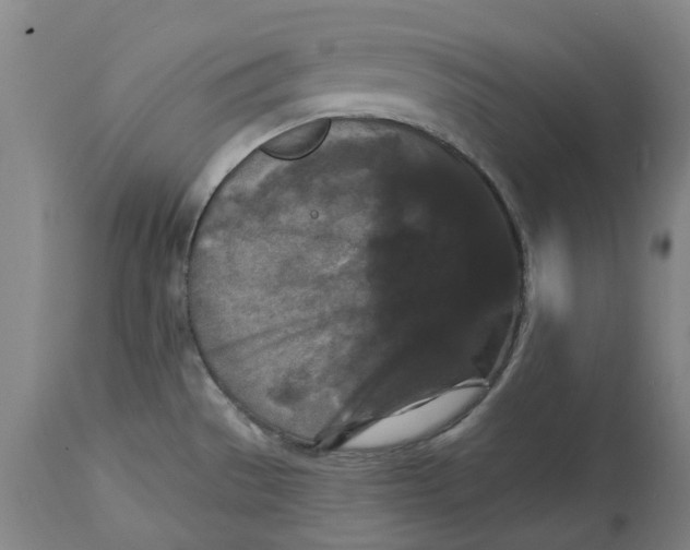 X0000114731529200911121743