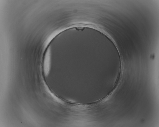 X0000114731533200911121743