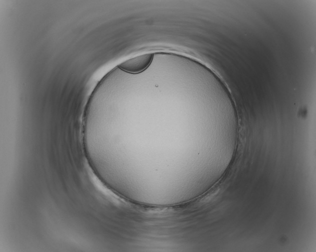 X0000114731535200911121743