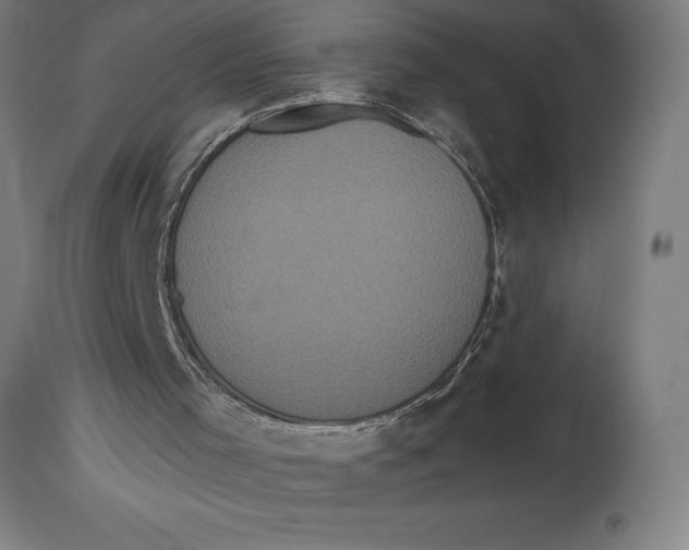 X0000114730001200911181440