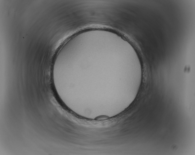 X0000114730015200911181439