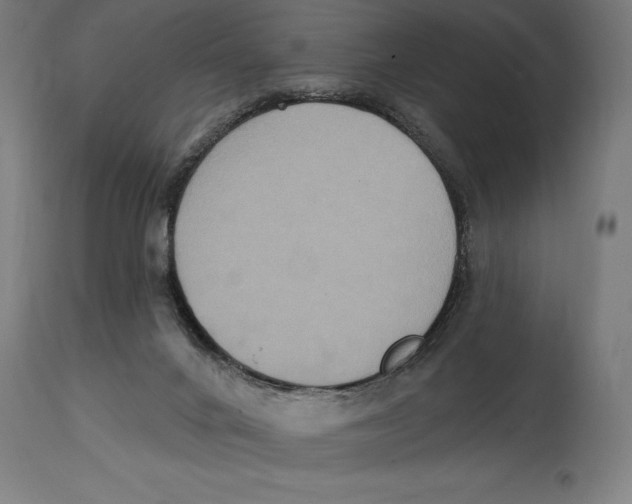 X0000114730024200911181439