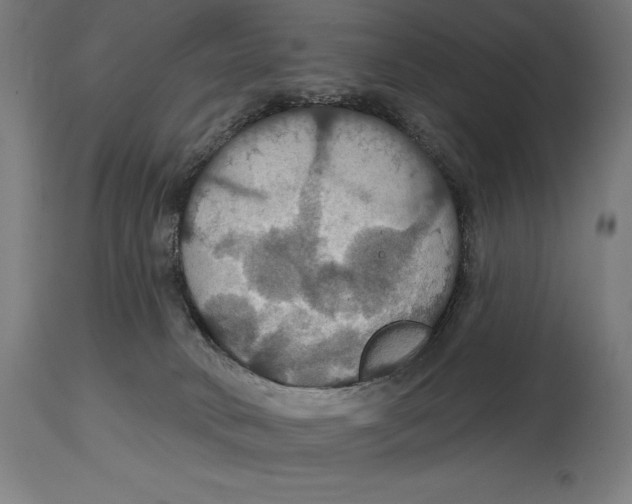 X0000114730034200911181439