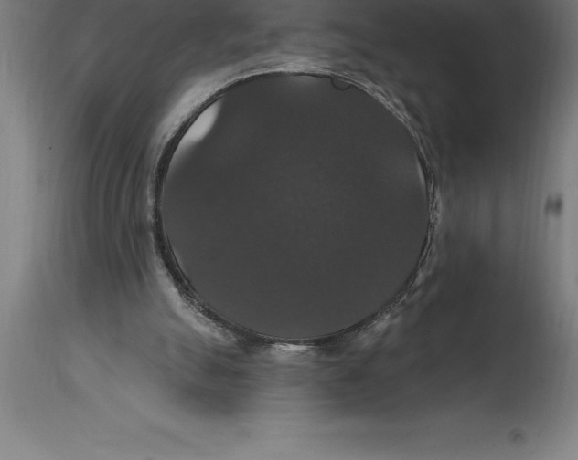 X0000114730055200911181438