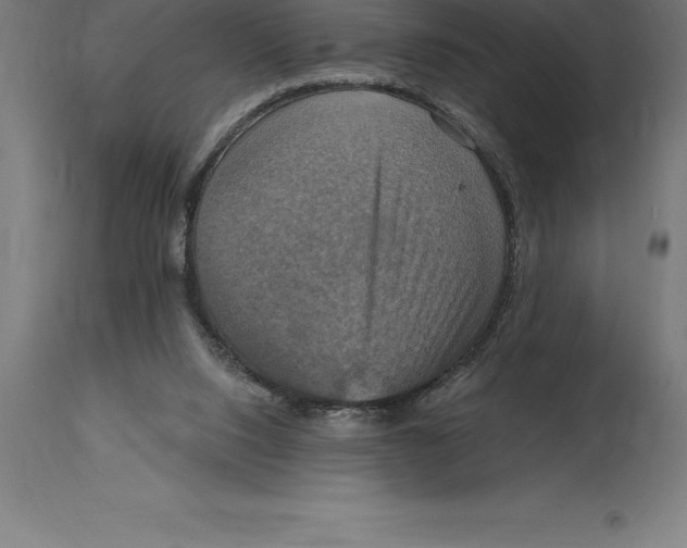 X0000114730064200911181438