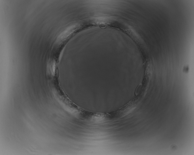 X0000114730076200911181439