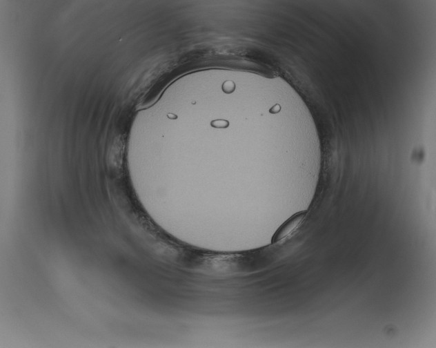 X0000114730078200911181439