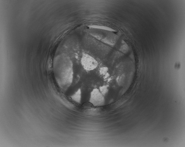 X0000114730081200911181439