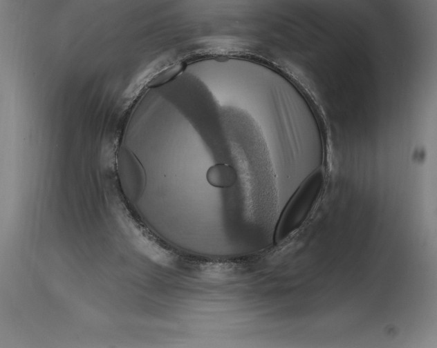 X0000114730105200911181438