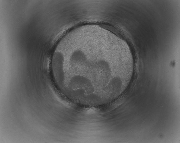 X0000114730115200911181438