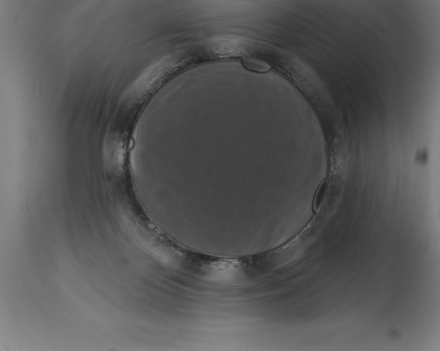 X0000114730124200911181438