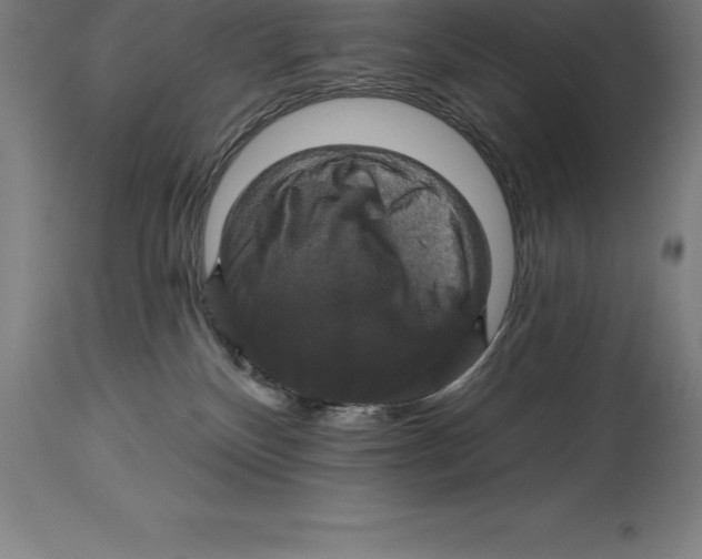 X0000114730136200911181437