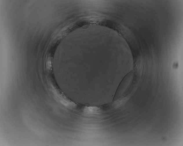 X0000114730137200911181437