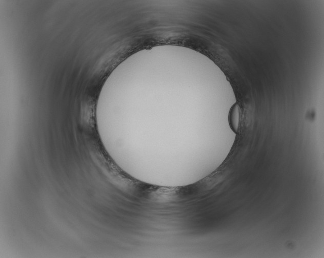 X0000114730138200911181437