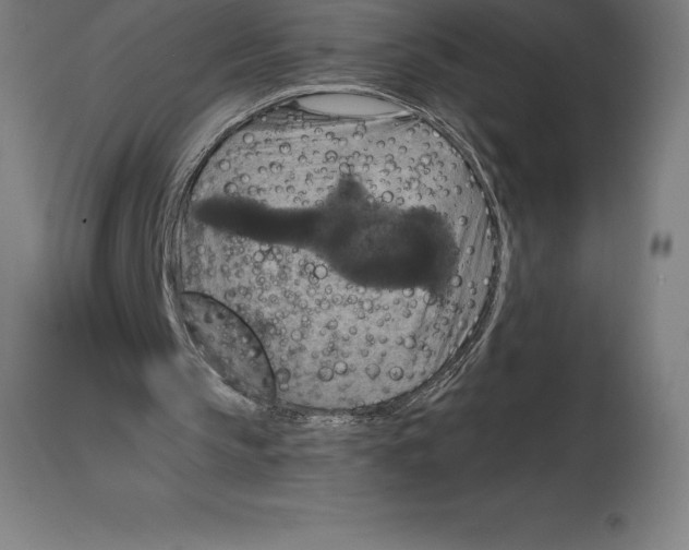 X0000114730145200911181437