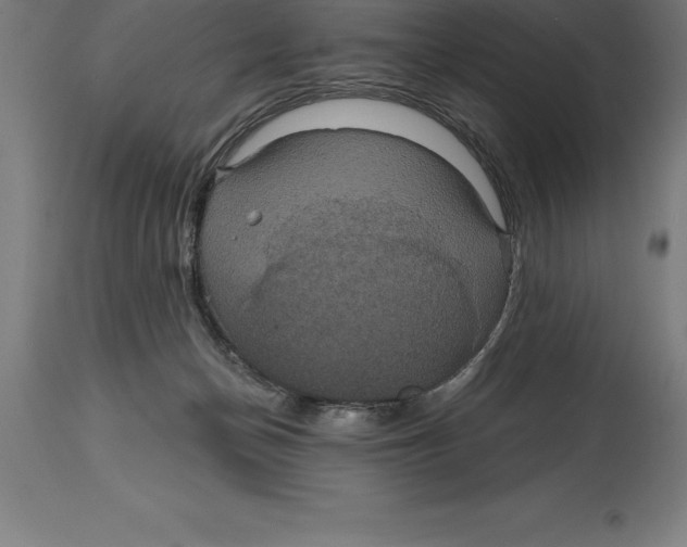 X0000114730174200911181437