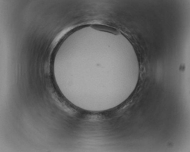 X0000114730200200911181437