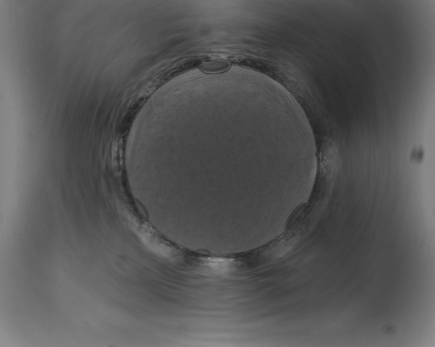 X0000114730233200911181436