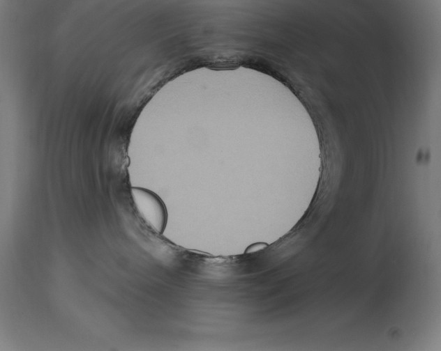 X0000114730240200911181436