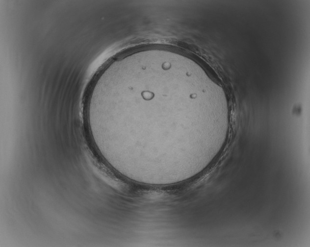 X0000114730246200911181435