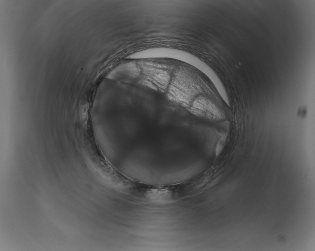 X0000114730271200911181436