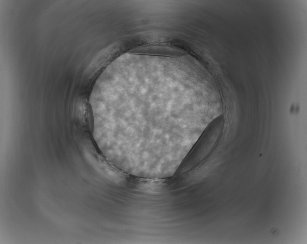 X0000114730288200911181436