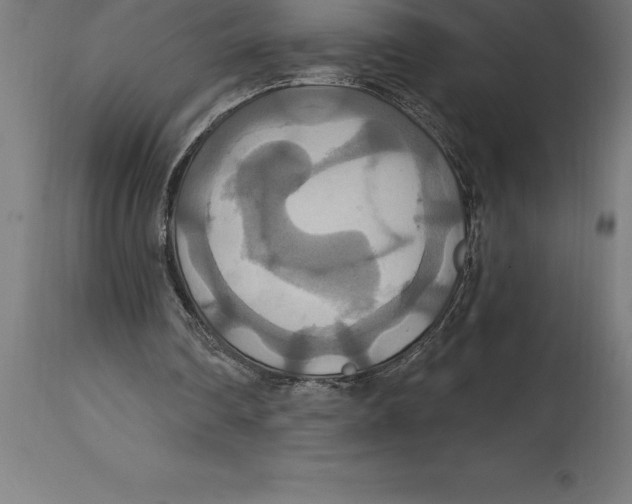 X0000114730290200911181435