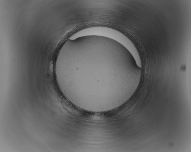 X0000114730308200911181435